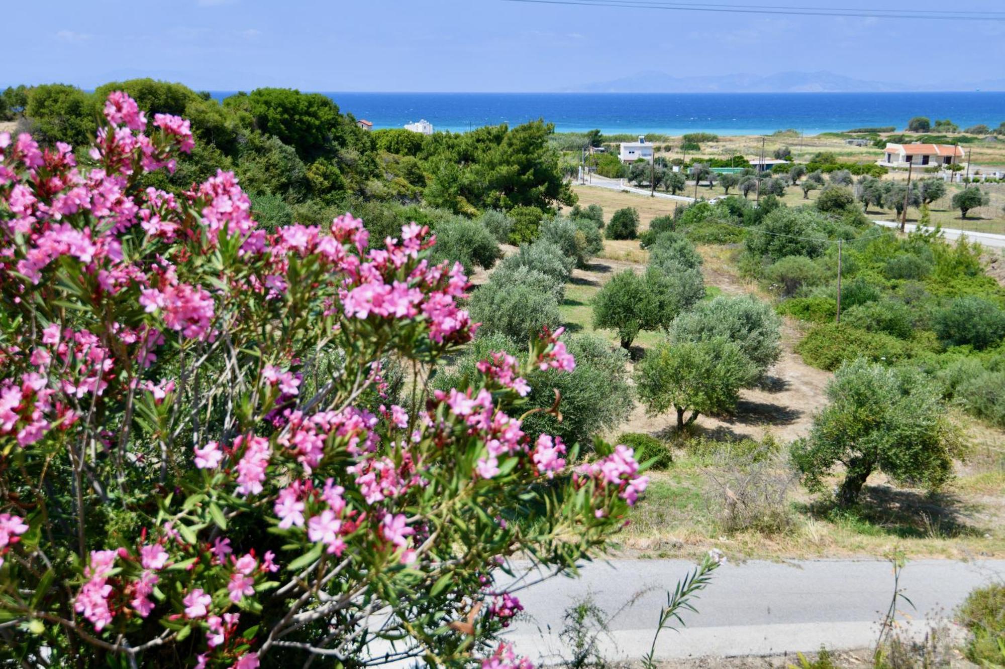 Hotel Summer View Theologos (Rhodes)