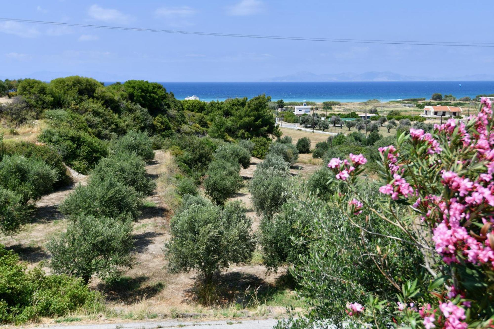 Summer View Hotel 2*