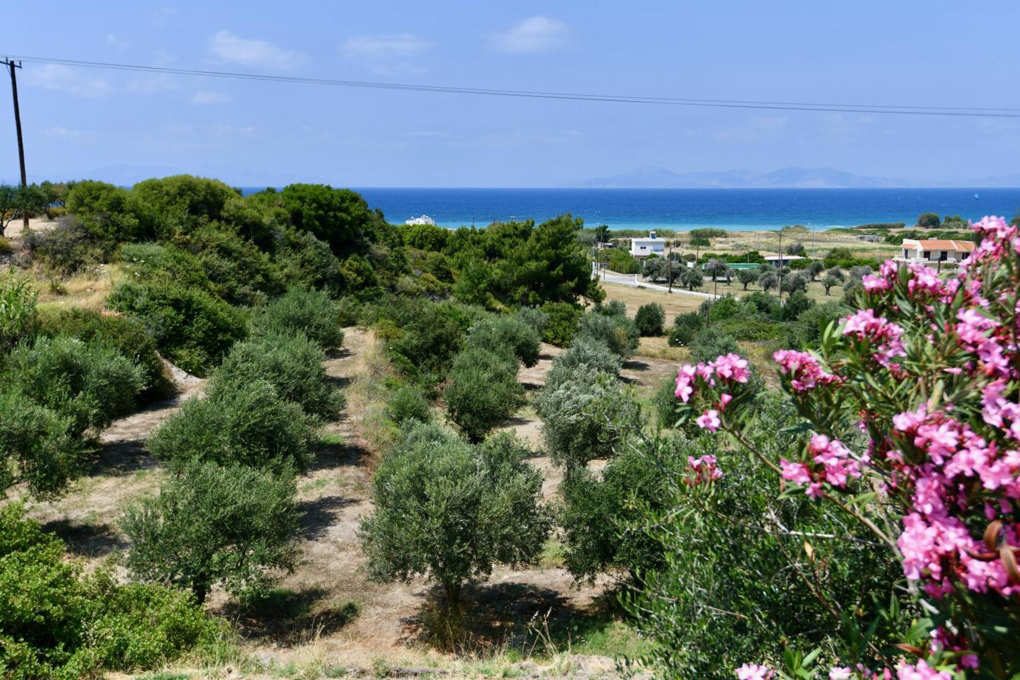 Summer View 2* Theologos (Rhodes)